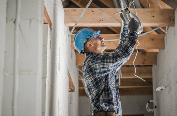Best Electric Panel Repair  in Oakfield, WI